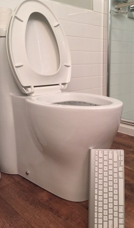 toilet